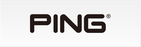 ping - 製造業におけるビッグデータの活用事例20選