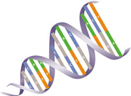 genom - 医療・ヘルスケア業界におけるビッグデータの活用事例20選