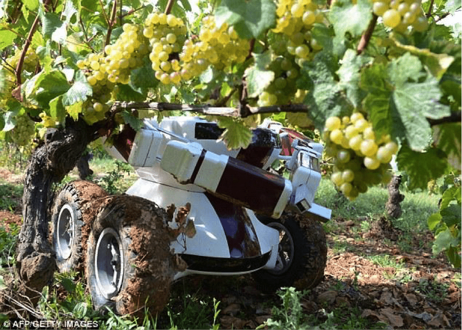 ブドウ収穫ロボット