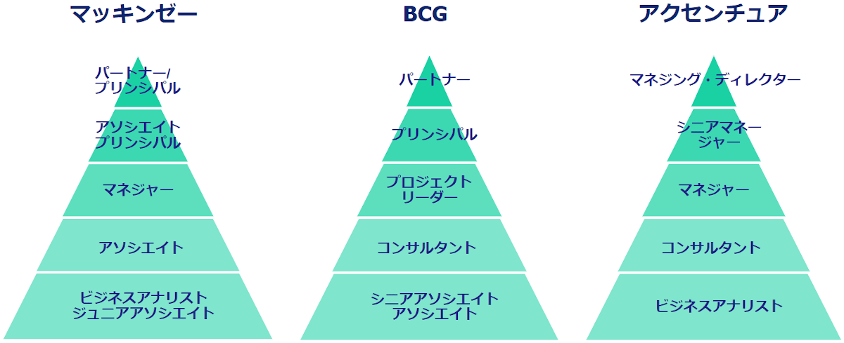 シニア アソシエイト