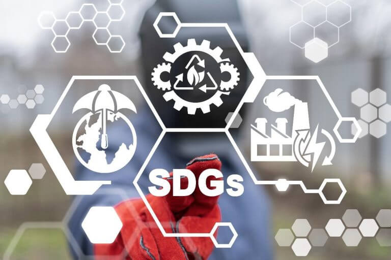 SDGsコンサルタントへの転職のカギとは？求人の傾向、日本でのSDGsについても解説