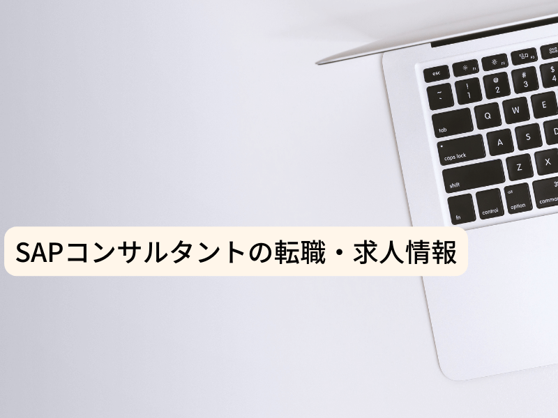 29 - SAPコンサルからの転職　キャリアチェンジは若手のうちに！？