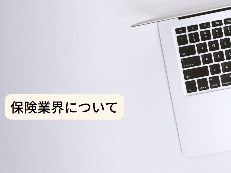 45 - 保険会社リスクマネジメント関連用語2