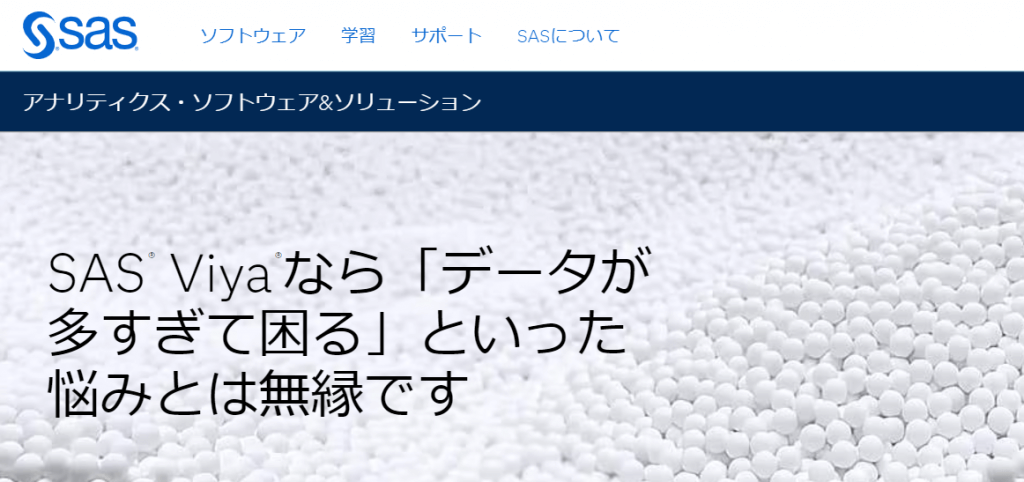 image-25 image 25 - SAS Institute Japanの転職・採用情報