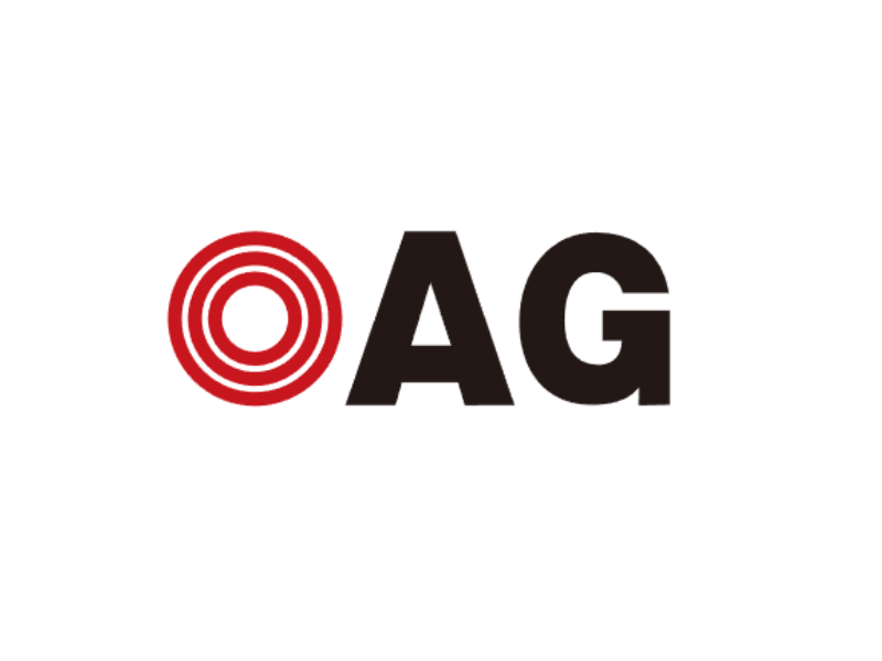 OAG - あなたもできる！コンサルタントのレジュメ作成マスターガイド
